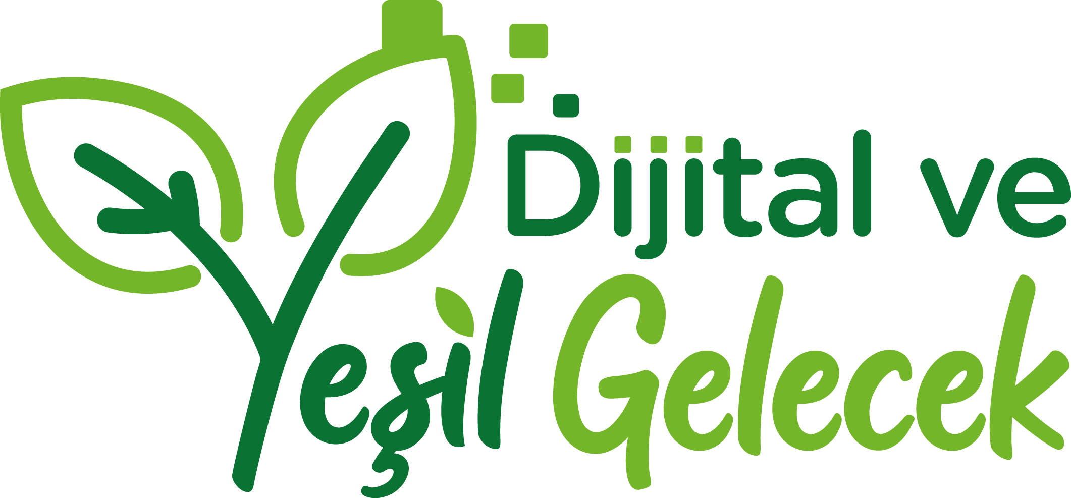 İkiz Dönüşüm